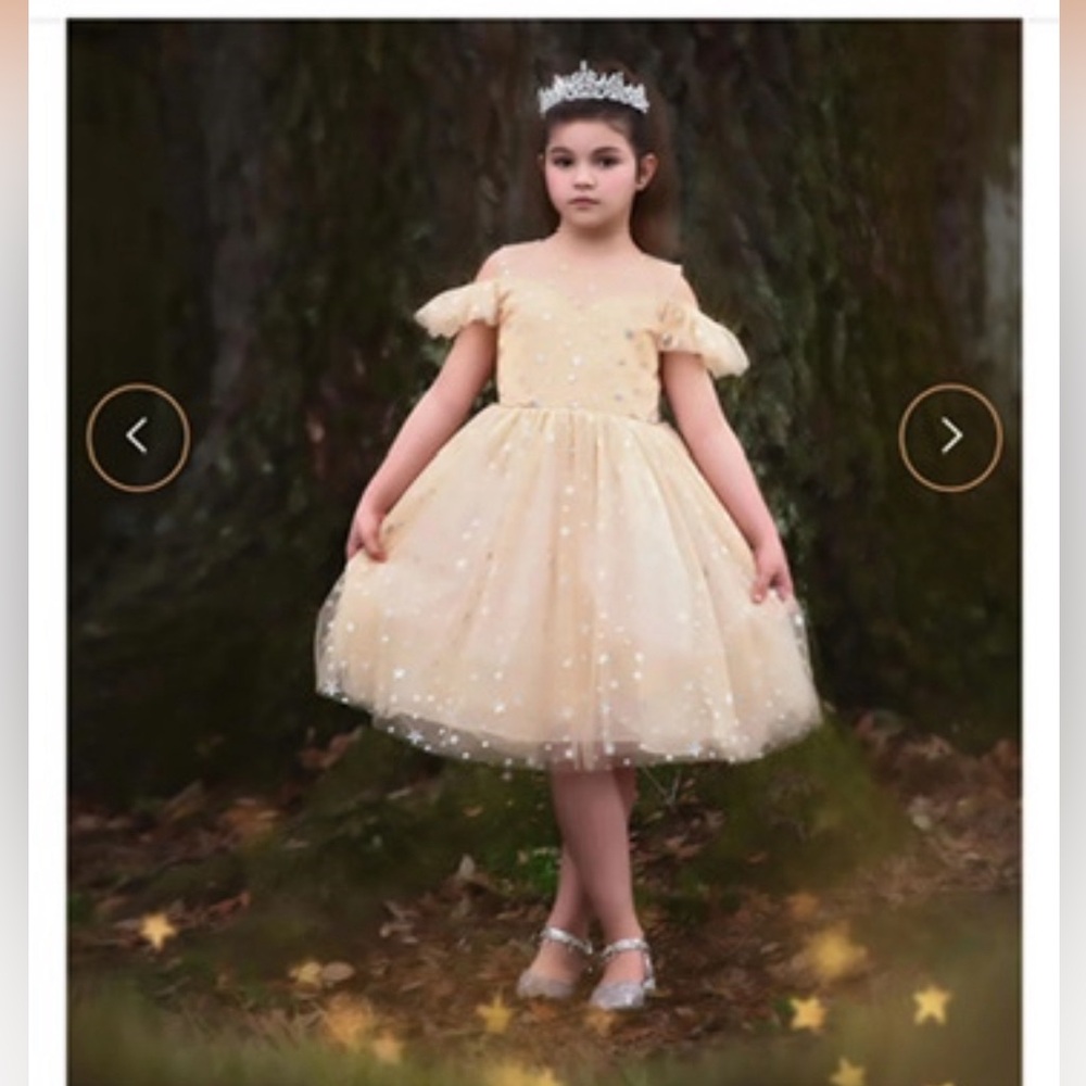 Trish Scully ETOILE DRESS 6